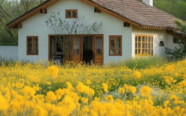 Lanfeng Nanshe·Wild Galaxy Traveling Holiday Beauty