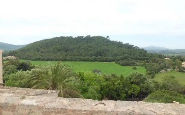 Rental Villa Son Favar
