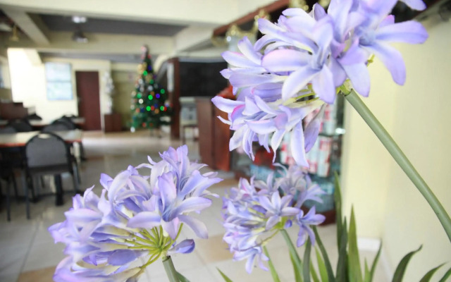 Pandu Lakeside Hotel Parapat - Toba Lake