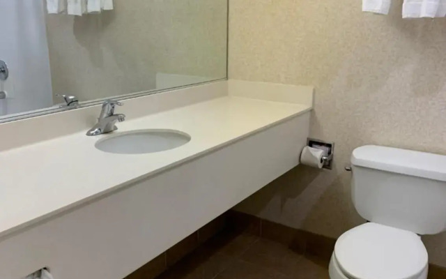Olive Tree inn & Suites