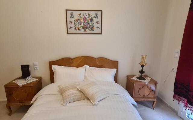''Prasini Folia'' Apartments - Apartment ''STEFANA''