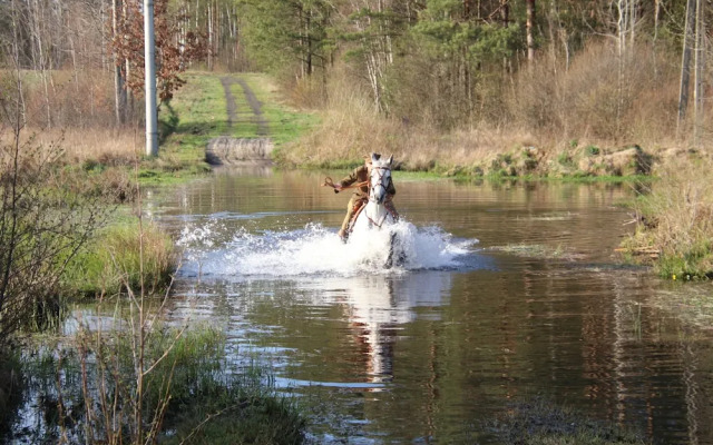 Chata Pod Świnią Górą