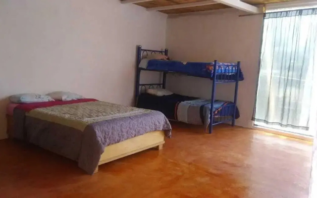 La Casa Del Nenufar - Hostel