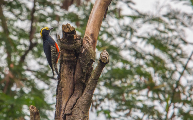 Hotel Eclipse Villavicencio