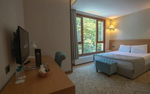 Ayder Hasimoglu Hotel