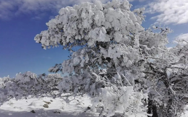 Villa Rural Campillo de Arenas