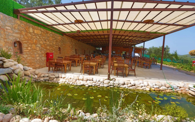 Tomato Bodrum
