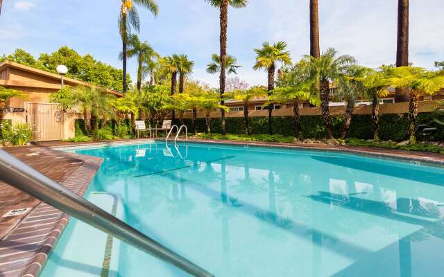 Best Western Pine Tree Motel