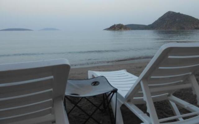 Hotel Assini Beach Tolo