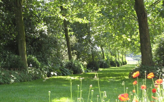 Cosily Furnished Small Wooden House