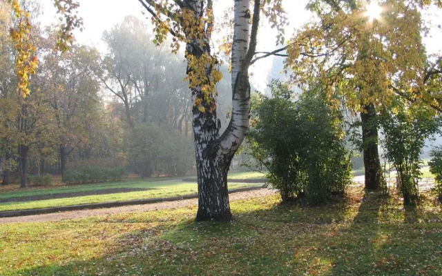 Dachi v Zelenogorske
