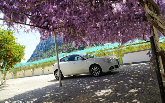 Sea waves apartments