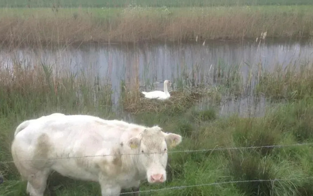 Artistiek Vakantiehuisje