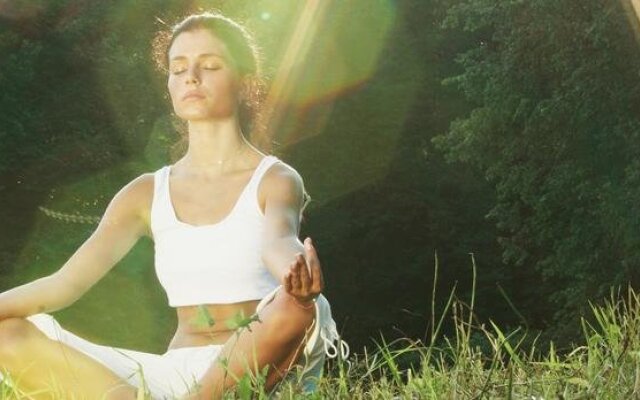 Lakeview At Fontana A Rustic Mountain Inn & Spa