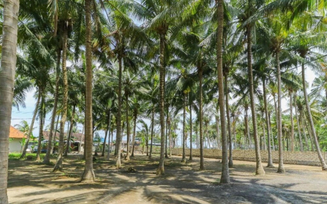 Coconut Hill Cottages