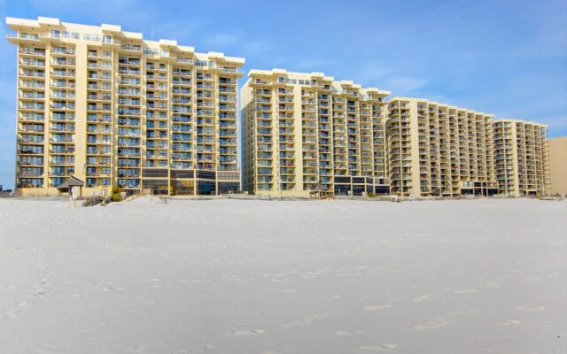 Phoenix 1144 by RedAwning