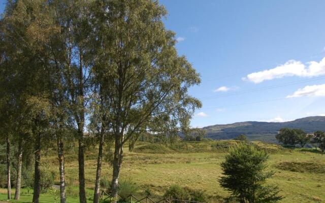 Cosy Rowan woodland lodge no1