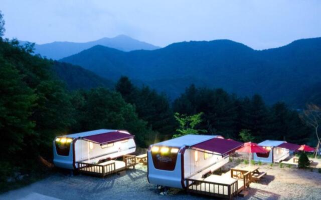 Walker Camping