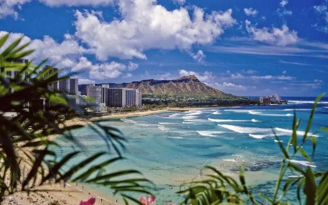 Hawaiian Monarch 1105 Condo by RedAwning