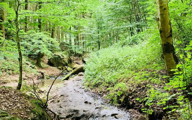 Tailor's Trail gîte d'adventure Beaufort Mullerthal