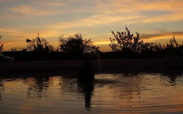 Desert Fox Club Camp