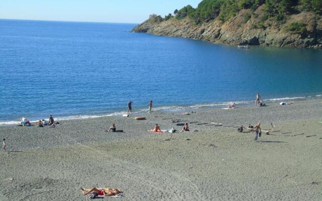 Cà Gialla