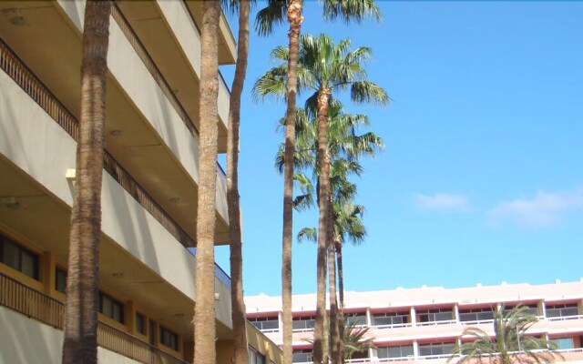 Apartamentos Los Cactus