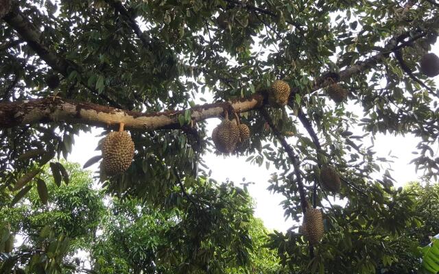 Rabiengdao Garden Homestay