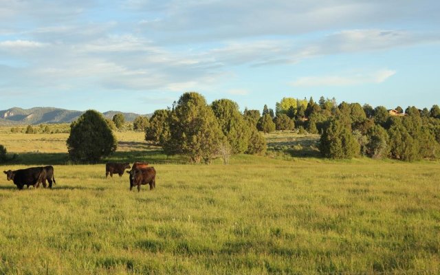 Sevier River Ranch & Cattle Company