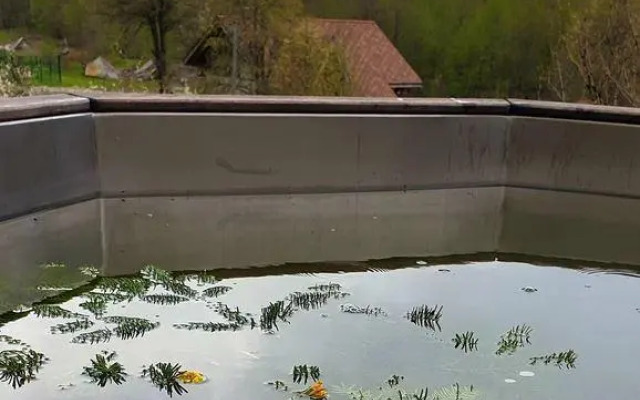 ПихтаHouse (ПихтаХаус)