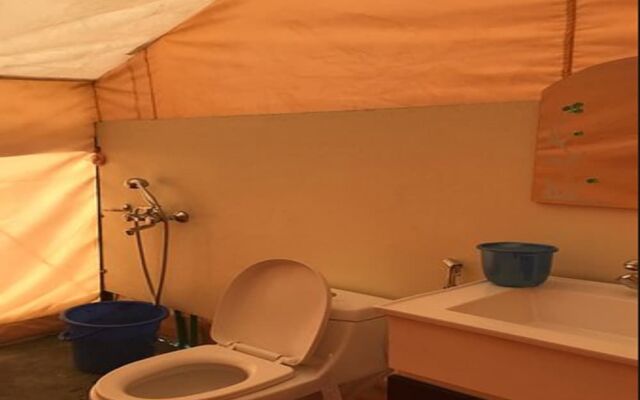 Pangong Heritage Camp