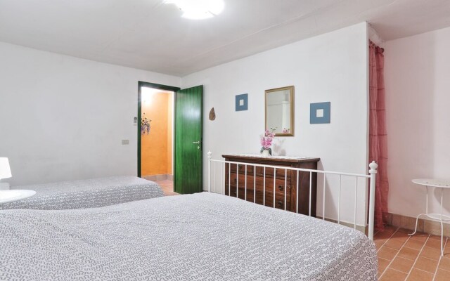 Garofano Sughera in Sughera