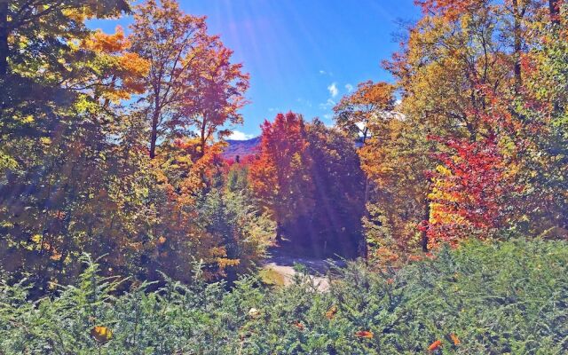 The Killington Cabin by Killington Vacation Rentals