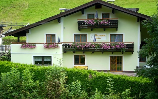 Pension Herzoggut