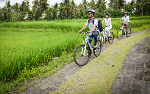 Purana Boutique Resort