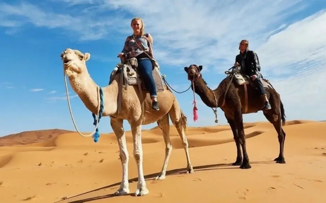 Trans Sahara