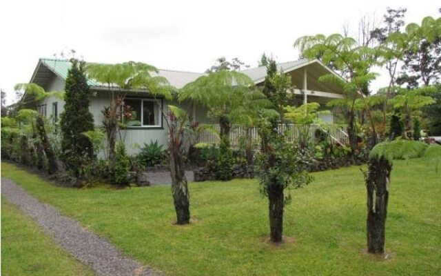 Volcano Fern Forest Retreat