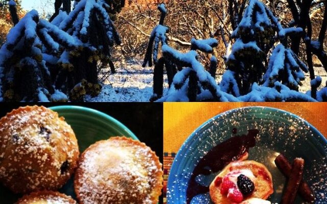 Cozy Cactus Resort ...sorta kinda