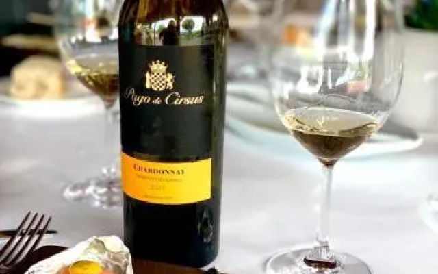 Chateau Pago De Cirsus