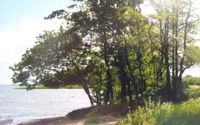 1-Zi Fewo Rankwitz,Usedom