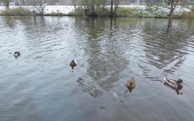 Apartment at the East side, close to center