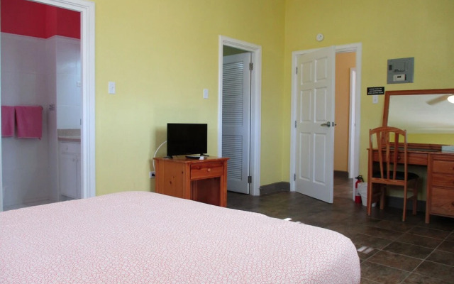 Harlem B & B