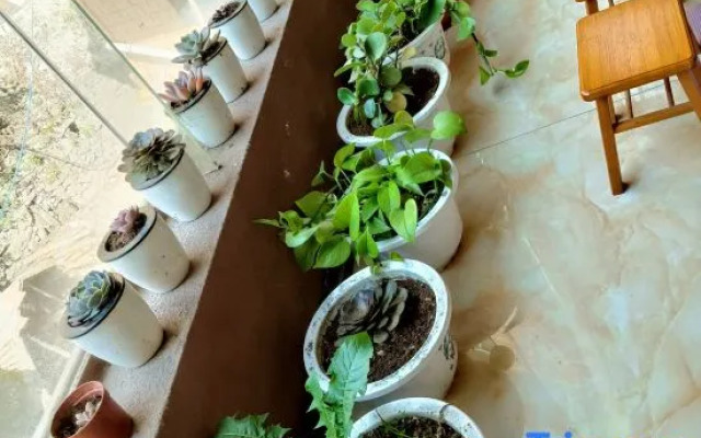 Yuanshan farmhouse homestay