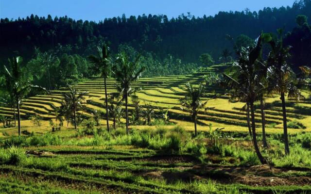 Lafyu Bali