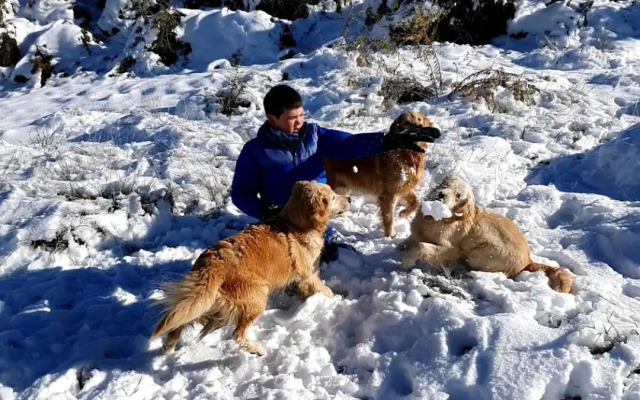 Apartamento Deluxe Senderos del Vino II, desayuno y Piscina Opcional