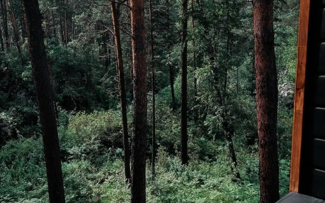 Путь Шамана