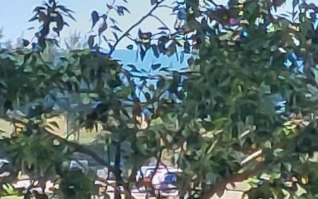 2 room apartment 350 m from sea