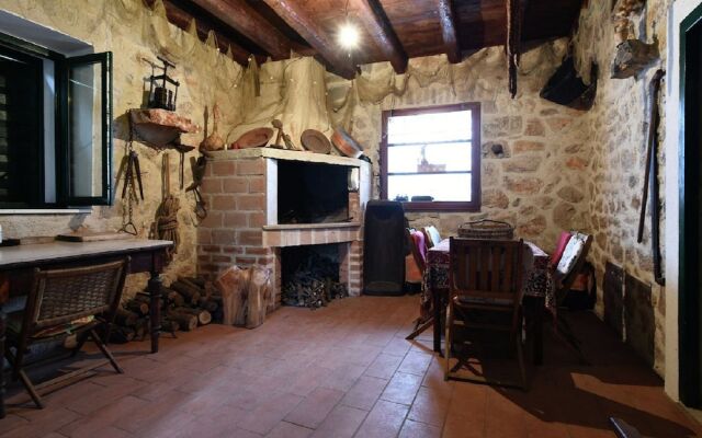 Premium Apartment in Bibinje With Garden