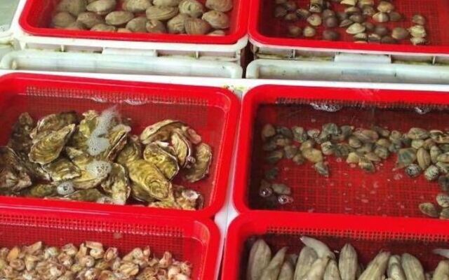 Shenzhen East Sea View Hotel