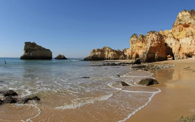 The Navigator - Palm Oasis Alvor